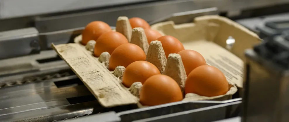 Aluksne Poultry Farm