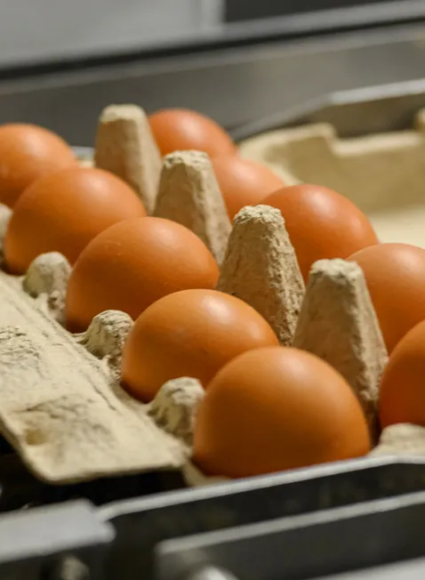 Aluksne Poultry Farm